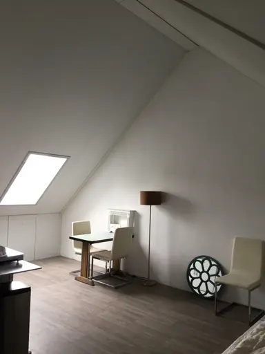 30m2 Chambre à louer pour 870€/mois à Leonard Springerlaan, Haarlem