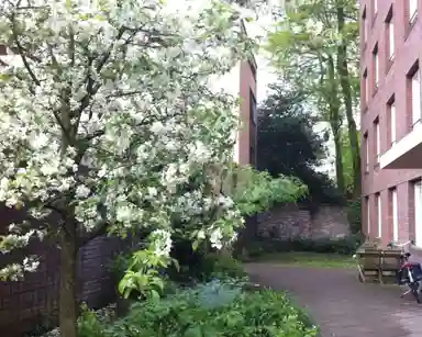 14m2 monolocale in affitto per 415€/mese a Hof van Sint-Jan, Utrecht