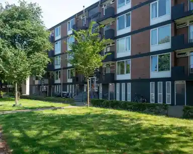 56m2 room to rent for 675€/month in Tobias Asserlaan, Tilburg