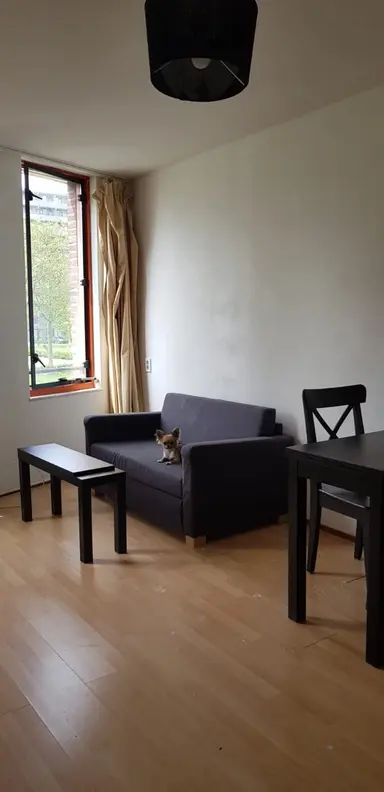 18m2 studio te huur voor 1200€/maand in Lontarpalmstraat, Amsterdam