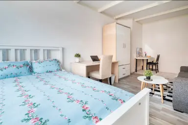 22m2 room to rent for 850€/month in Isingstraat, The Hague