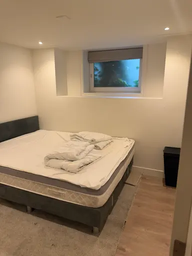 90m2 Chambre à louer pour 1600€/mois à Plantage Doklaan, Amsterdam
