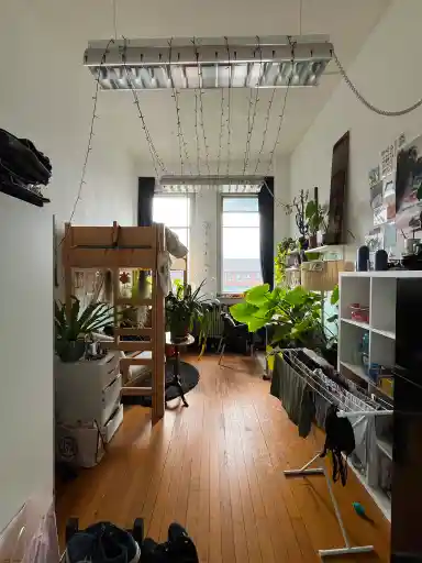 14m2 Zimmer zur Miete für 443€/Monat in Dreijenplein, Wageningen