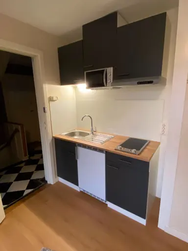 15.5m2 room to rent for 499.27€/month in Rosendaalsestraat, Arnhem