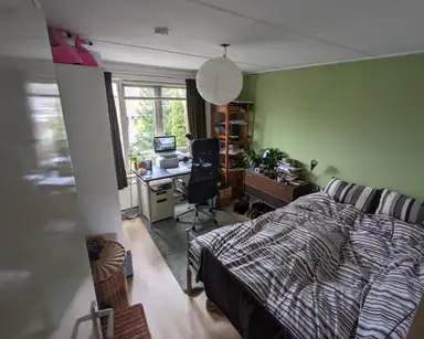 13m2 Chambre à louer pour 475€/mois à Sonoystraat, Arnhem