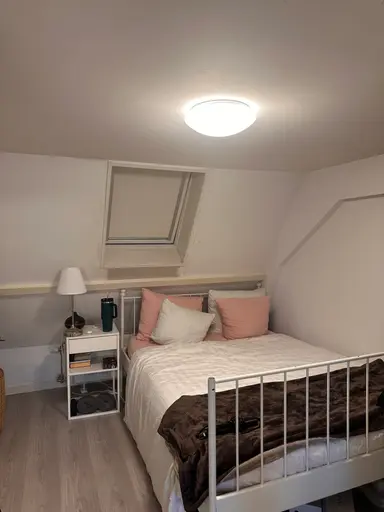 15m2 Chambre à louer pour 824€/mois à Oude Delft, Delft