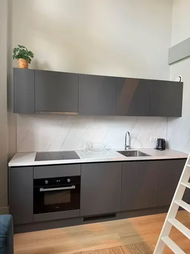 53m2 flat to rent for 1752€/month in Berg en Dalseweg 79, Nijmegen