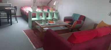 35m2 Chambre à louer pour 600€/mois à Belvedère, Wageningen