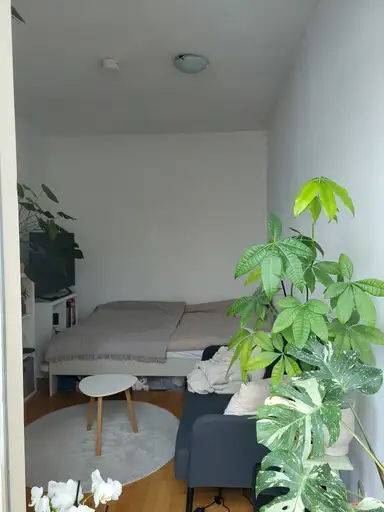 22m2 studio à louer pour 795€/mois à Hatertseweg, Nijmegen