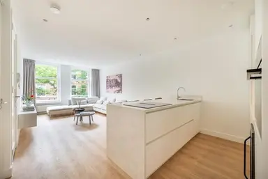 55m2 Appartement te huur voor 3250€/maand in Frans Halsstraat 36-1, Amsterdam