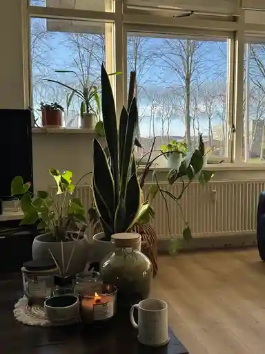 76m2 Appartamento in affitto per 1100€/mese a Amsterdamsestraatweg, Utrecht