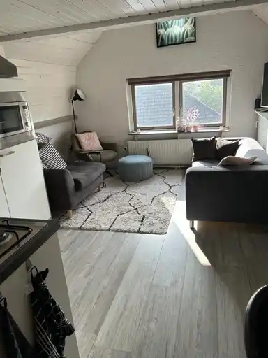 35m2 Appartement te huur voor 800€/maand in Beatrixstraat, Veenendaal