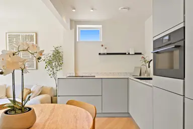 39m2 Appartement te huur voor 2250€/maand in Jan van Nassaustraat 16, The Hague