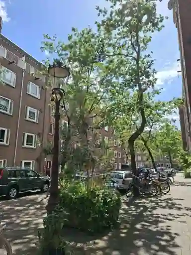 81m2 Appartement te huur voor 1138€/maand in Albert Luthulistraat, Amsterdam