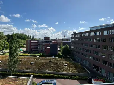36m2 Appartement te huur voor 498.2€/maand in Vredehoflaan 680, Vlissingen