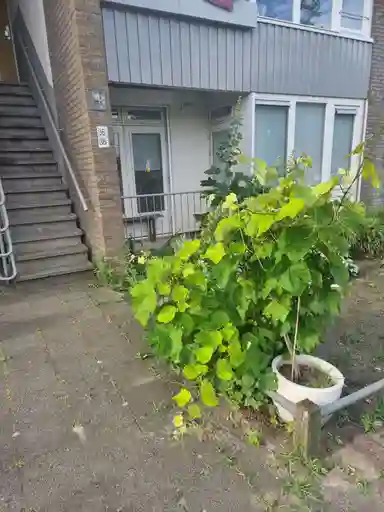 47m2 studio te huur voor 805€/maand in Cervanteslaan, Utrecht