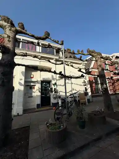 m2 room to rent for 571€/month in Pyrmontstraat 24, Enschede