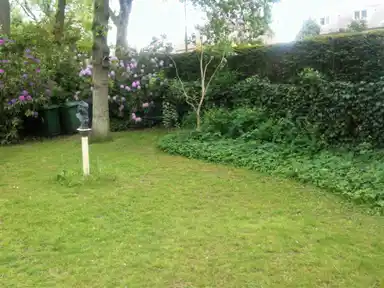 36m2 Chambre à louer pour 740€/mois à Zwarteweg, Aerdenhout