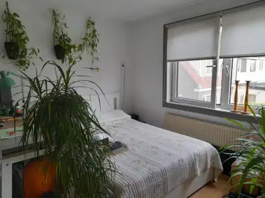 11m2 room to rent for 800€/month in Leliestraat, Koog aan de Zaan