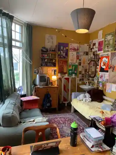 15m2 room to rent for 473€/month in Tuinbouwstraat, Groningen