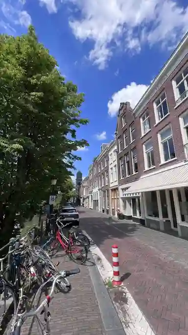 36m2 Appartement à louer pour 990€/mois à Oudegracht 294, Utrecht