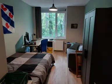 20m2 monolocale in affitto per 500€/mese a De Hems, Enschede