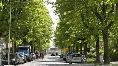 16m2 room to rent for 625€/month in Van Oldenbarneveldtstraat 52, Arnhem