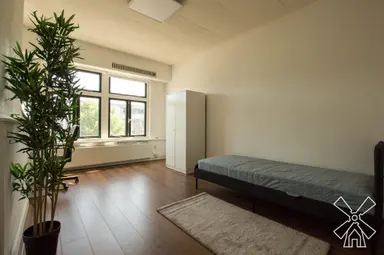 18μ² Δωμάτιο προς ενοικίαση για 1251€/μήνα σε Rijswijkseweg, The Hague