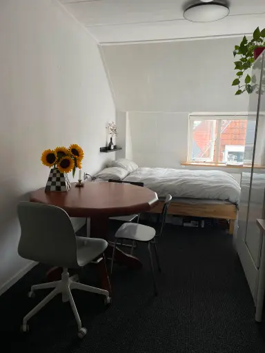 13m2 Zimmer zur Miete für 390€/Monat in Kleine Kerkstraat, Leeuwarden