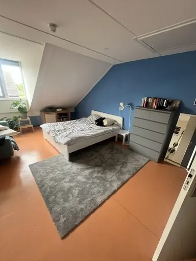 80m2 antikraak te huur voor 320€/maand in Paul Steenbergenlaan, The Hague