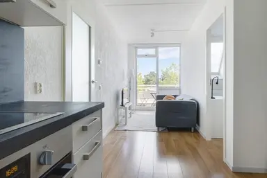 68m2 apartment to rent for 2600€/month in Meeuwenlaan 95D, Amsterdam