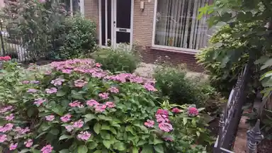 70m2 Camera in affitto per 950€/mese a Laan 1954, Utrecht