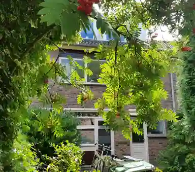 m2 Chambre à louer pour 700€/mois à Jupiterstraat, Groningen