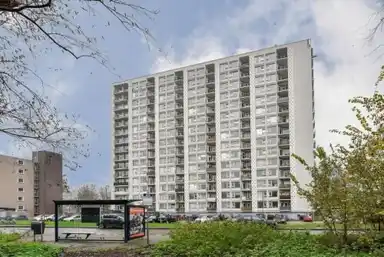 45m2 flat te huur voor 850€/maand in Van Leeuwenhoekstraat 31, Haarlem