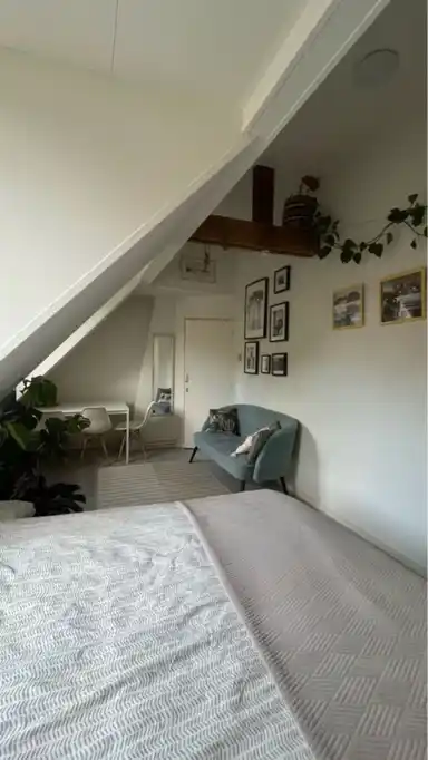 20m2 Chambre à louer pour 470€/mois à Grote Leliestraat, Groningen