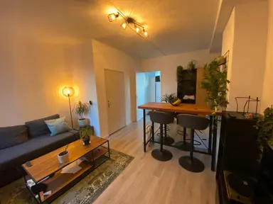 55m2 apartment to rent for 1295€/month in Lovensestraat, Tilburg