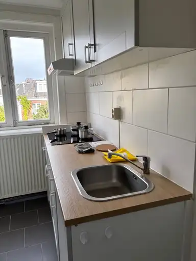 40m2 Appartamento in affitto per 1300€/mese a Daalseweg, Nijmegen