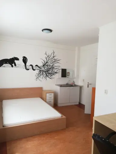 12m2 Chambre à louer pour 435€/mois à Fogelsanghstate, Leeuwarden