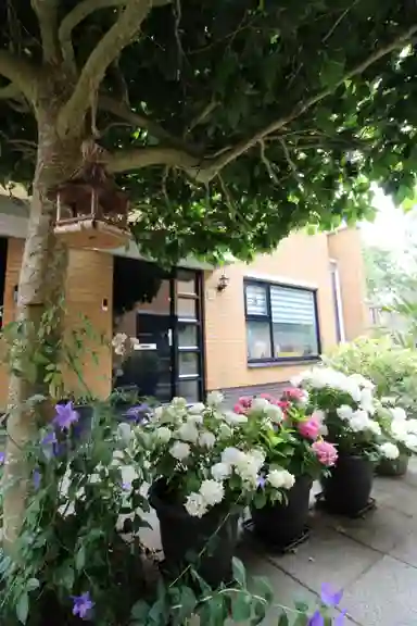 120m2 house to rent for 2350€/month in Meistraat, Almere