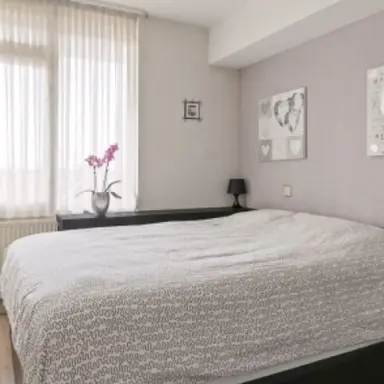 22m2 Camera in affitto per 565€/mese a Bergpolderplein 16B, Rotterdam