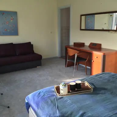 32m2 studio te huur voor 990€/maand in Isabellaland, The Hague