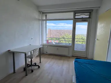 11m2 room to rent for 750€/month in Hendrik Tollensstraat, Delft