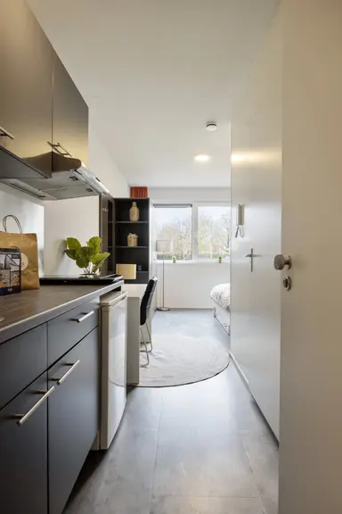 17m2 monolocale in affitto per 721€/mese a Sorbonnelaan, Maastricht