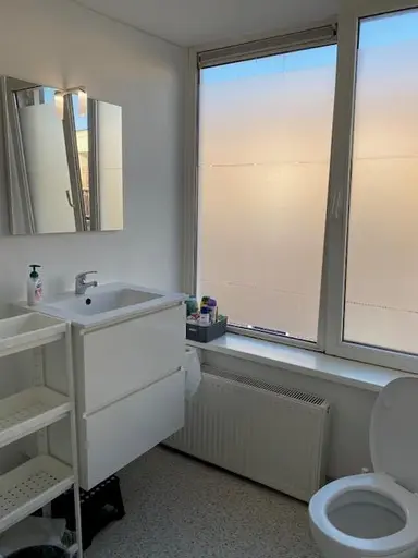 89m2 Haus zur Miete für 2300€/Monat in Tollensstraat 20, Leiden