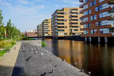95m2 Wohnung zur Miete für 2350€/Monat in Jan van Duivenvoordestraat 2, Amsterdam