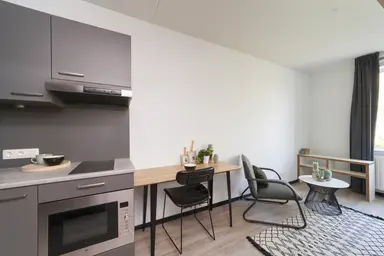 21m2 Appartement te huur voor 1073€/maand in Teteringsedijk, Breda