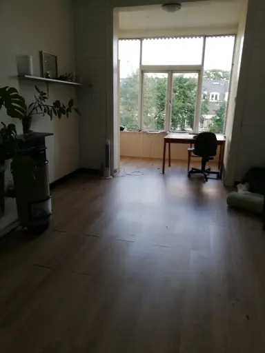 25m2 room to rent for 560€/month in Obrechtstraat, Utrecht