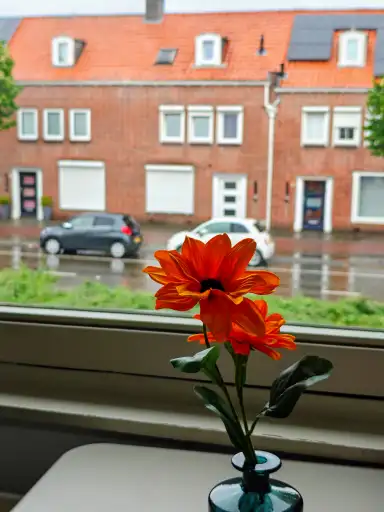 17m2 room to rent for 1350€/month in Ringbaan-Oost, Tilburg