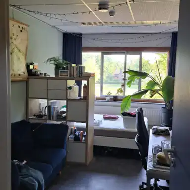 16m2 room to rent for 532.63€/month in Bomenweg, Wageningen