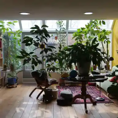 80m2 apartment to rent for 1500€/month in Uiverweide, Wageningen